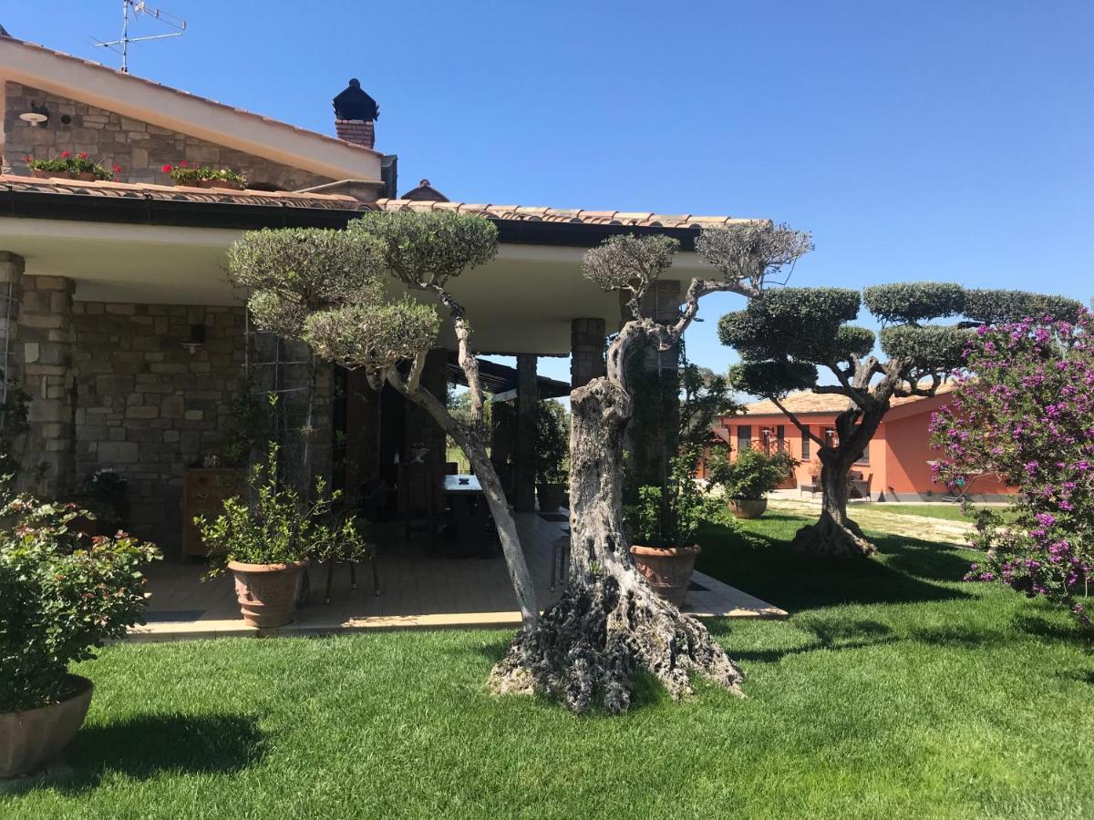 Le Rose Bed & Breakfast Nettuno Bagian luar foto